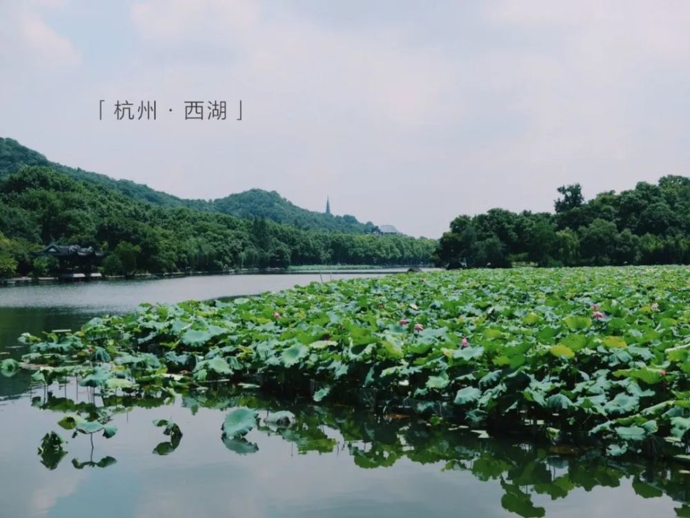 西湖的景色,无论春夏秋冬,不管晴空万里抑或细雨绵绵,皆有不同的美.