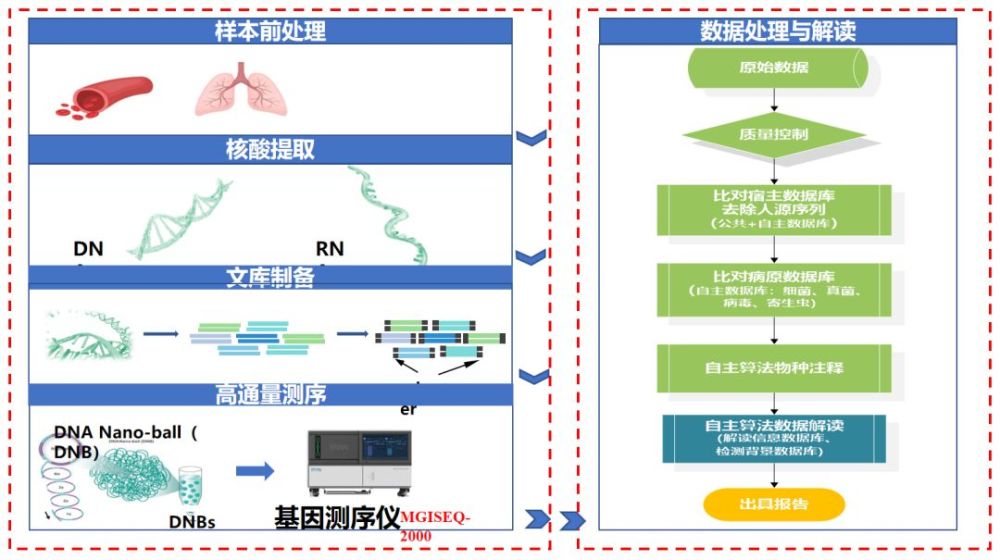 施毅:新型冠状病毒肺炎核酸检测的意义,问题与对策——阻击新冠 权威