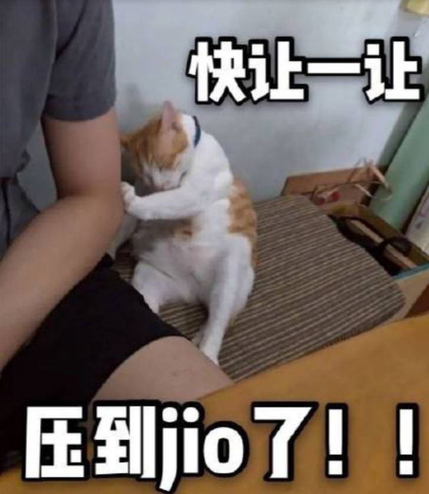 今日份沙雕表情包:可以一起睡觉吗?