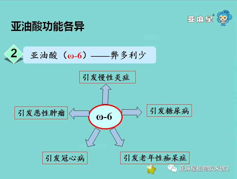 黄金搭档与生死冤家:欧米伽3与欧米伽6不饱和脂肪酸!