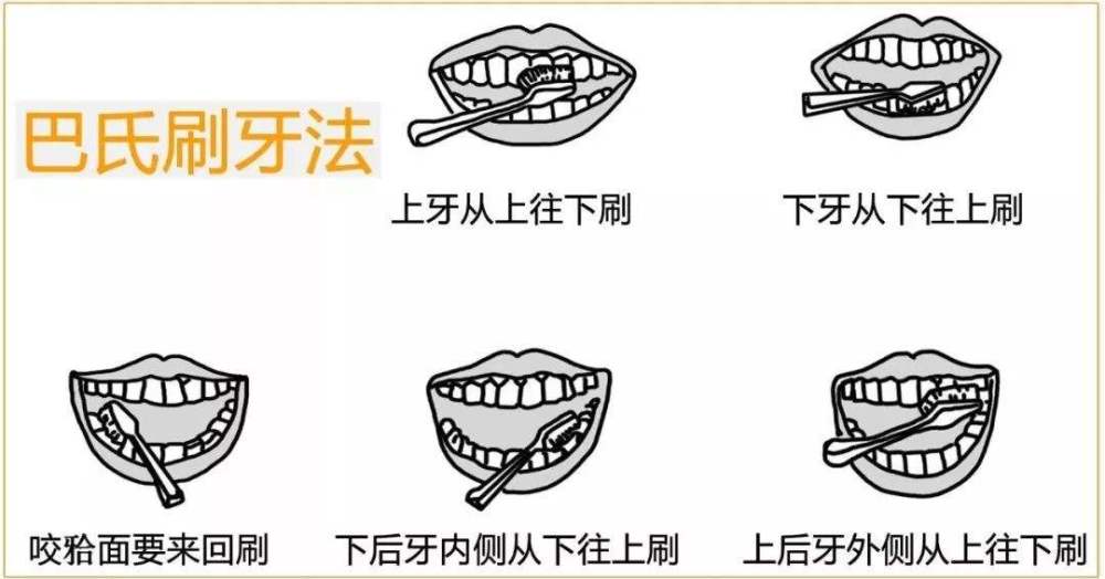 巴氏刷牙法