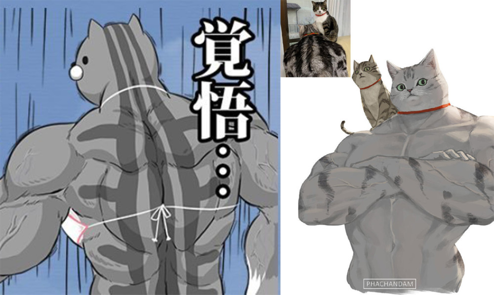 漫画师脑洞新奇,三次元猫狗拟人化成肌肉猛男,不服都不行