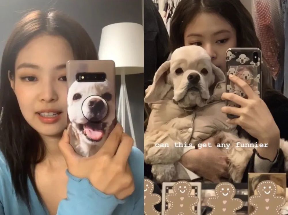 论爱狗,jennie 可谓是用心的,中文口头禅的竟然还是「我的小狗很可爱