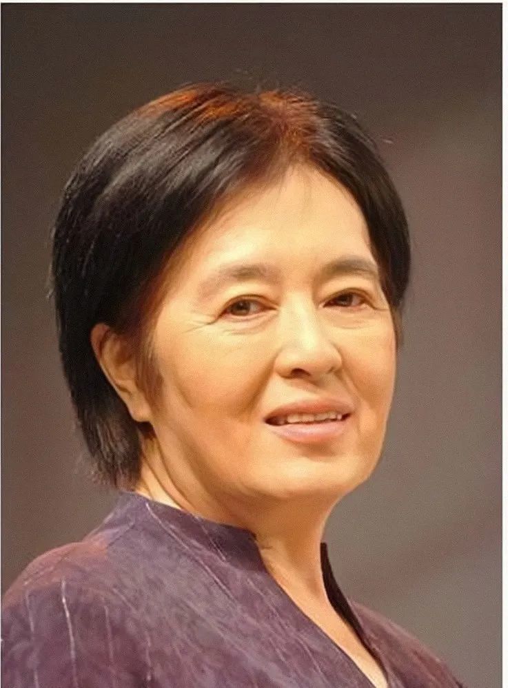 中国第四代导演:中国电影专业化发展的引领者