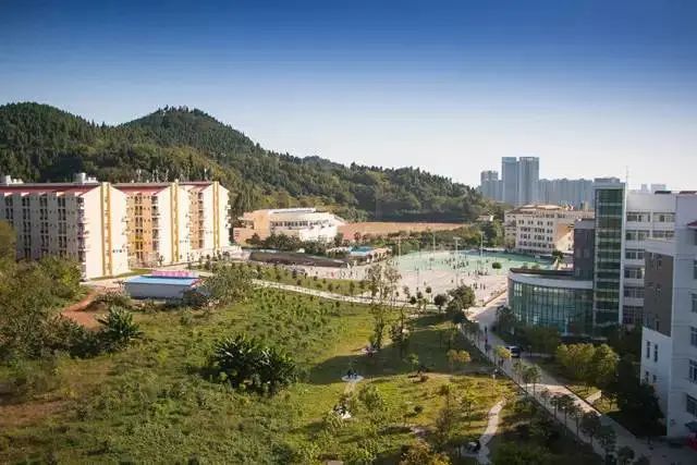 西南科技大学城市学院