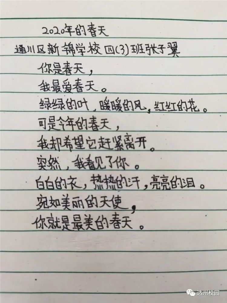 小新简谱_蜡笔小新简谱(3)