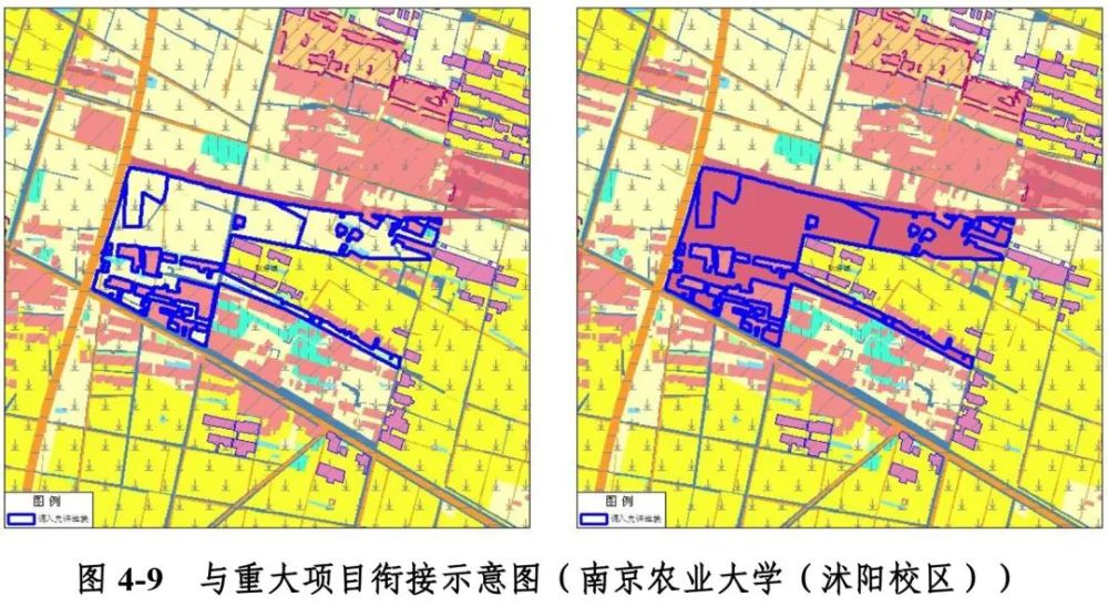 南京农业大学,在沭阳这里