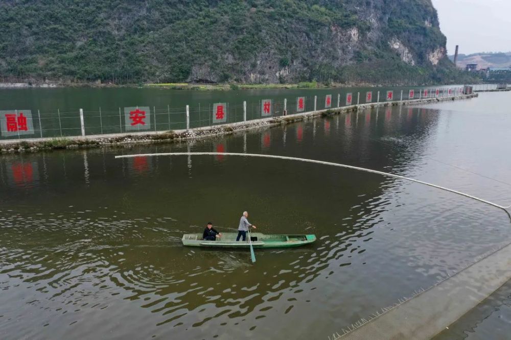安阳各县区2019年经济总量_安阳经济(2)