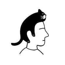医生，猫咪不怎么吃东西还拉稀，怎么办？