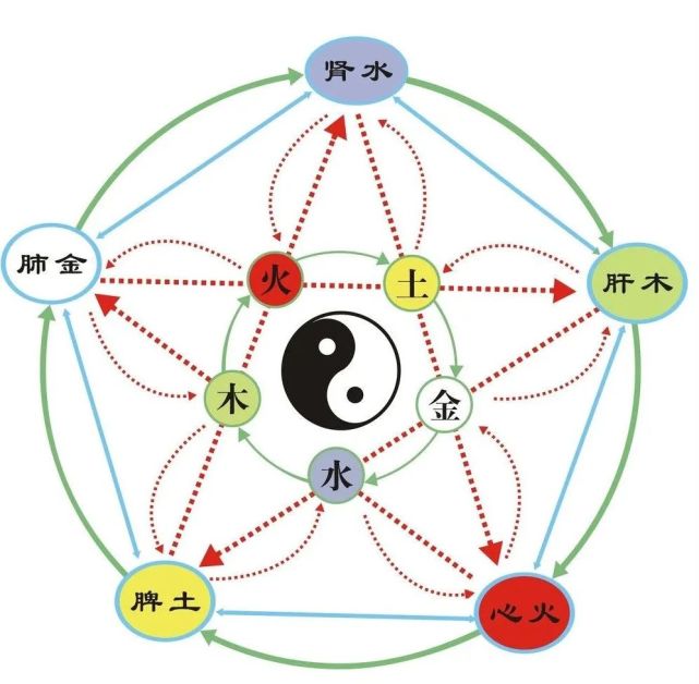 五行的归类 五行木火土金水, 归纳事物的属性, 人体