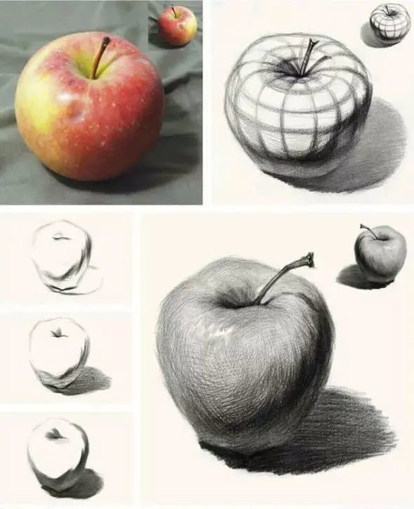 关于素描苹果的分析一篇让你吃透苹果的素描结构
