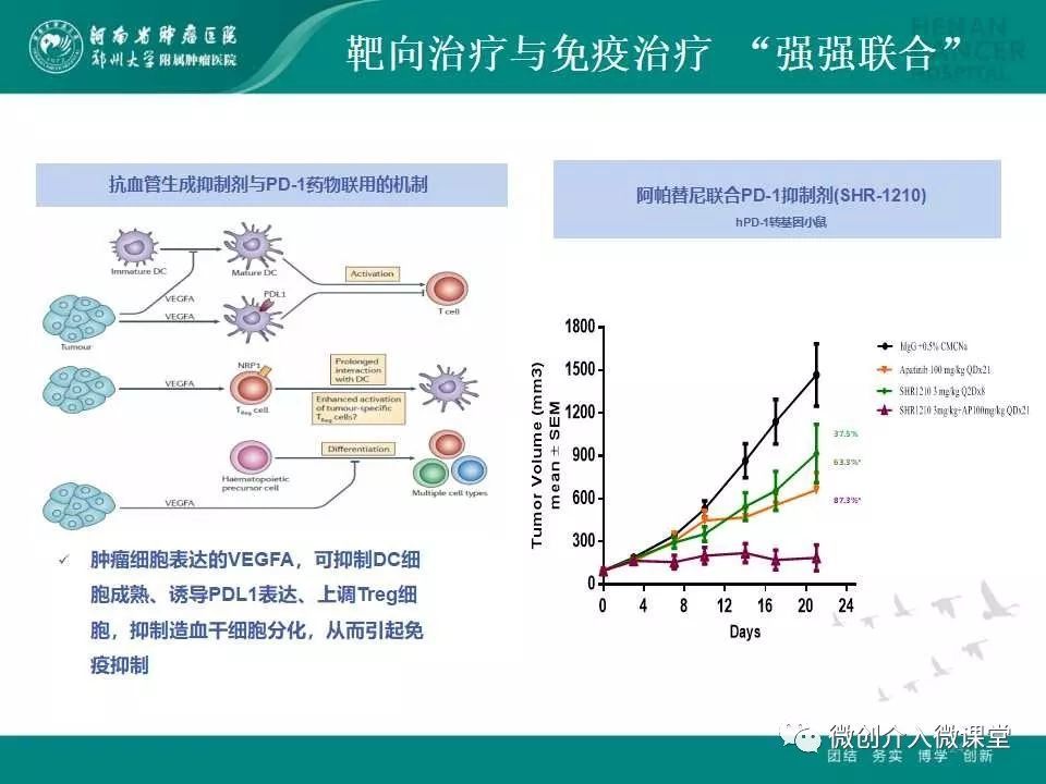 口服靶向药物序贯治疗肝癌的全球真实世界研究显示:中位生存期均超过