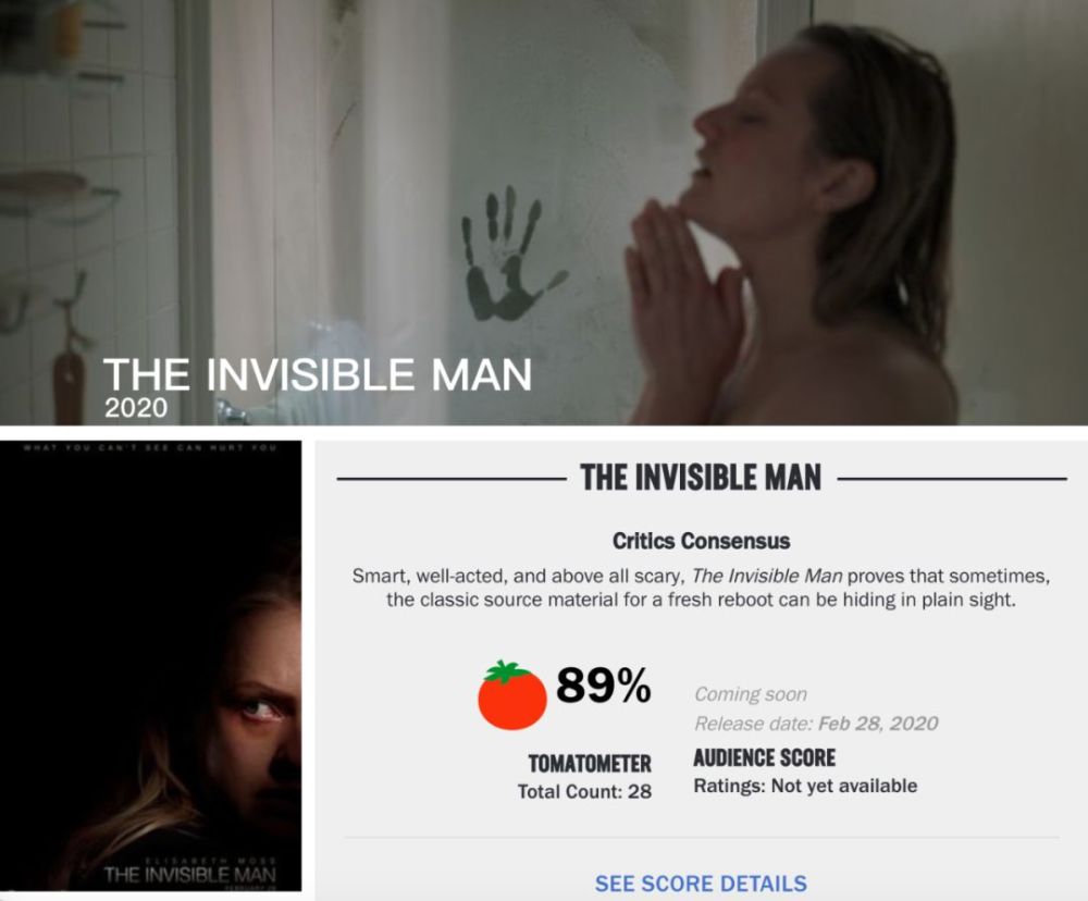 《隐身人》(the invisible man)