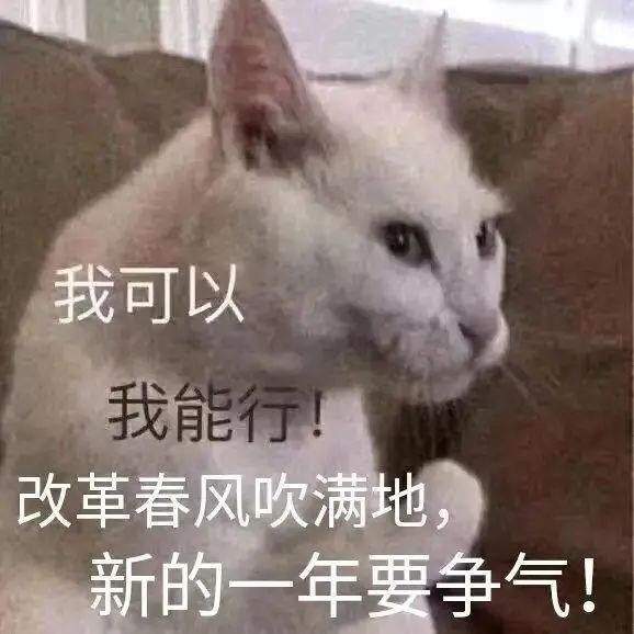 我可以,我能行