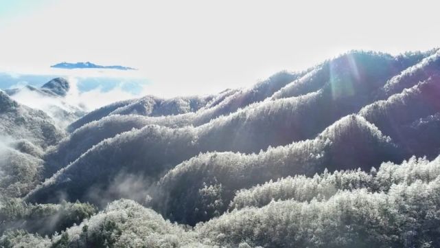 想看雪景？让白云山来满足你对雪的一切幻想！