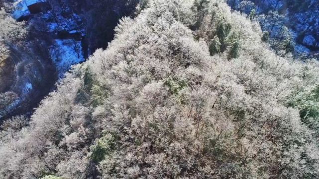 想看雪景？让白云山来满足你对雪的一切幻想！