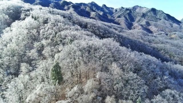 想看雪景？让白云山来满足你对雪的一切幻想！