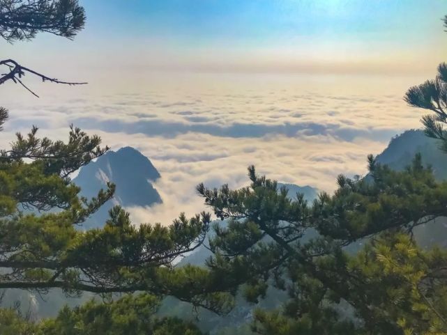 想看雪景？让白云山来满足你对雪的一切幻想！