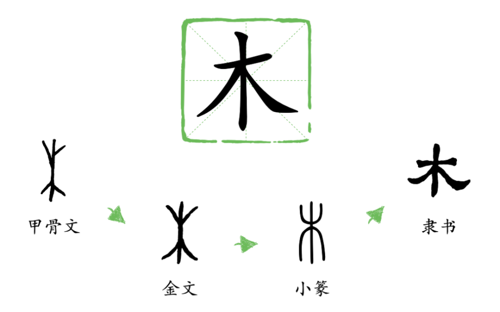 翻这本书,孩子一眼就能看到每个汉字的演变过程,并在脑海中留下汉字的