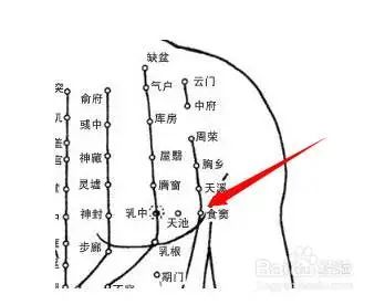 【穴位图】食窦穴,健脾和胃,理气调肠