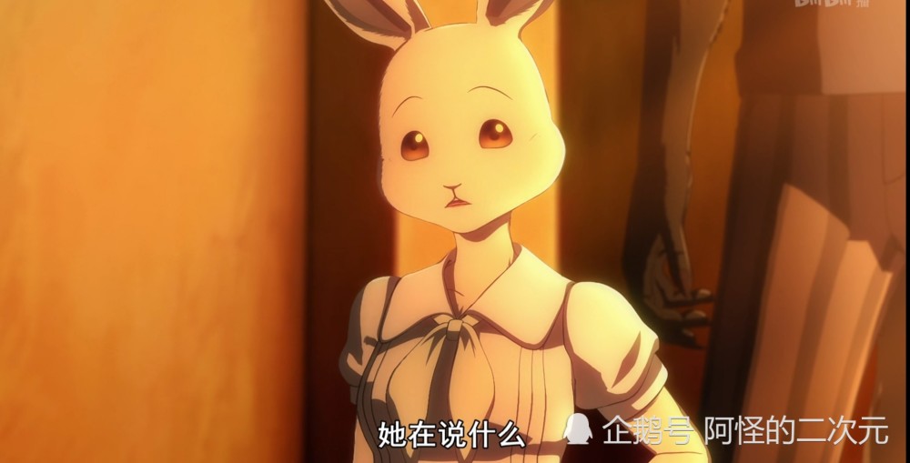 动物狂想曲:"欲兔"成长日记,其实她更想成为玉兔