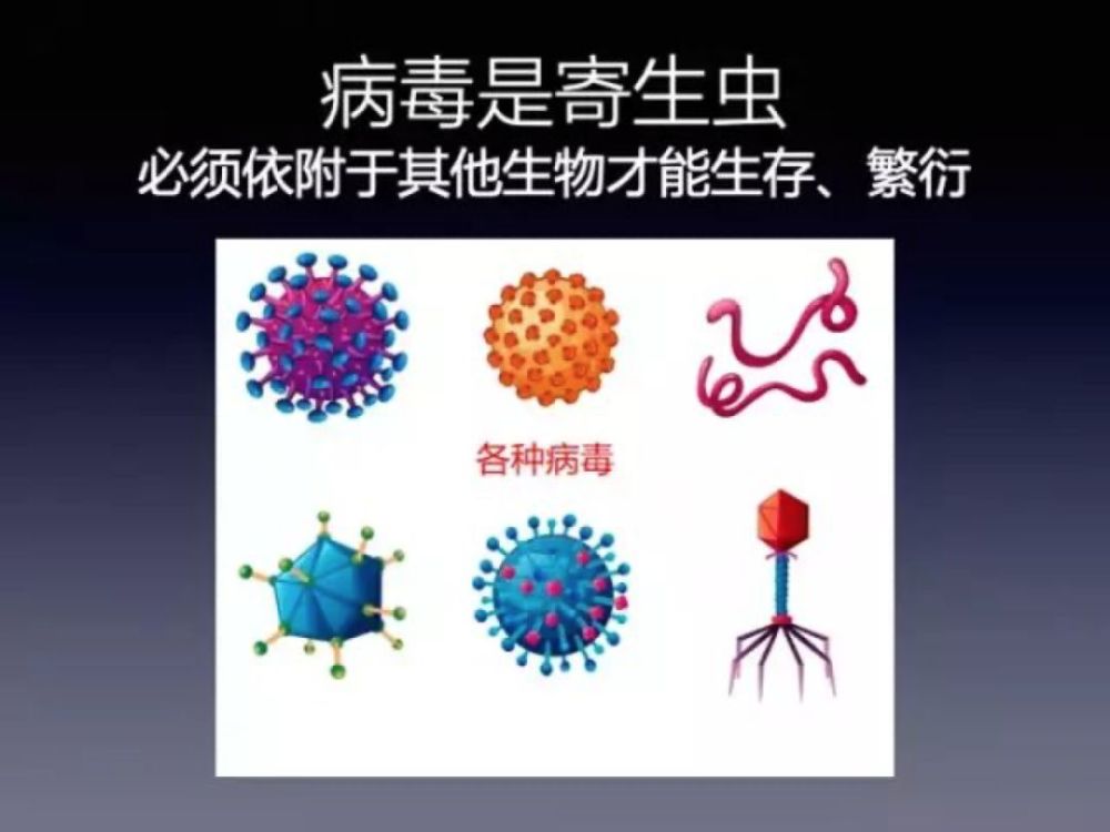 病毒是寄生虫,不依附于其他生物就没法存活,没法繁殖,没法复制.