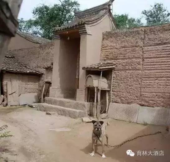 通渭县多少人口_通渭县地图(2)