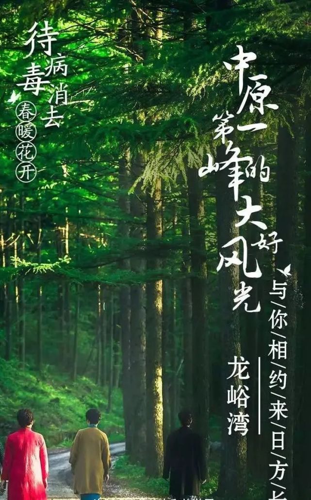 龙峪湾景区门票10元义售！义售款将全部支援武汉！