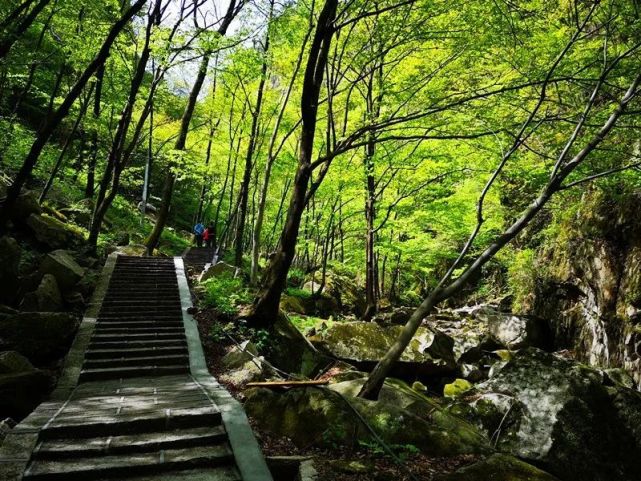 龙峪湾景区门票10元义售！义售款将全部支援武汉！