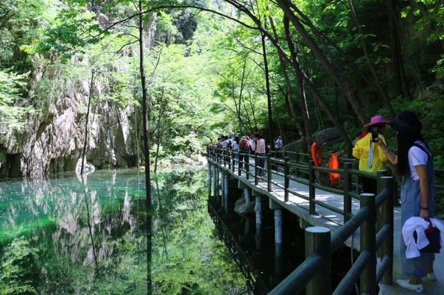 龙峪湾景区门票10元义售！义售款将全部支援武汉！