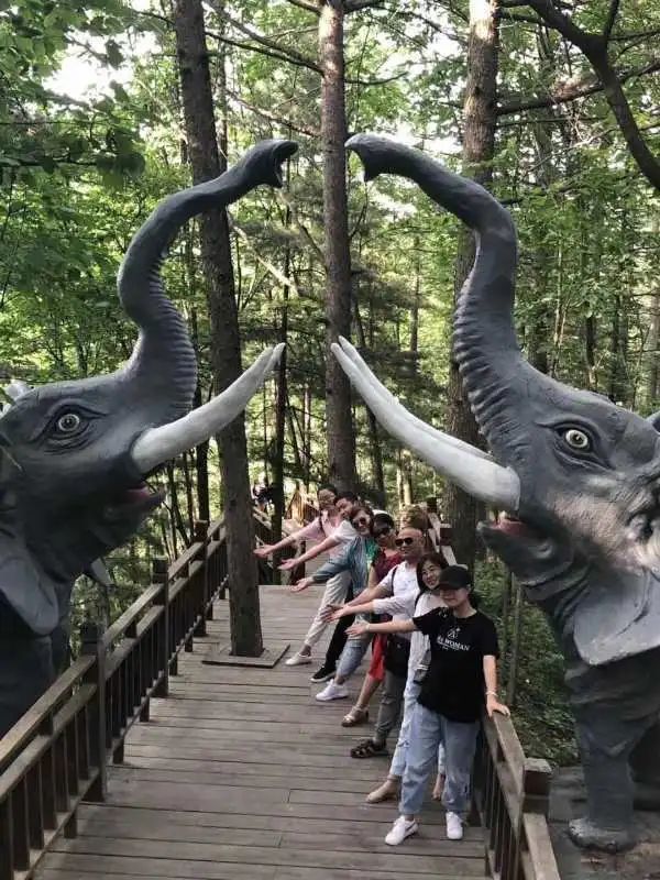 龙峪湾景区门票10元义售！义售款将全部支援武汉！