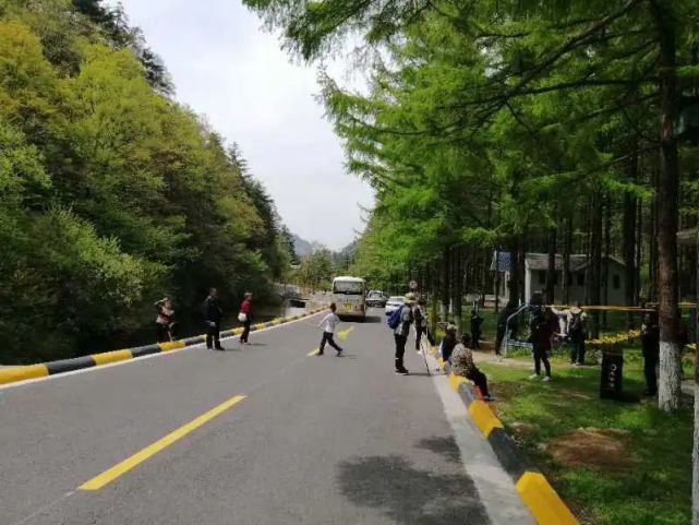 龙峪湾景区门票10元义售！义售款将全部支援武汉！