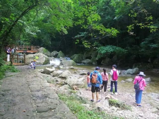 龙峪湾景区门票10元义售！义售款将全部支援武汉！