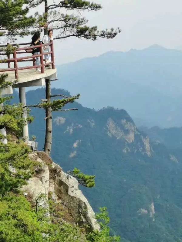 龙峪湾景区门票10元义售！义售款将全部支援武汉！