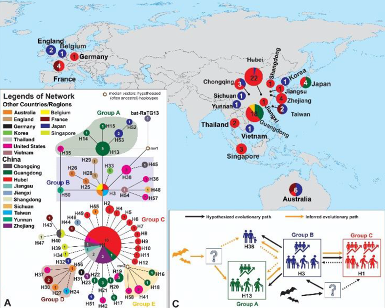 台湾节目说新冠病毒源头在美国？请认真读论文