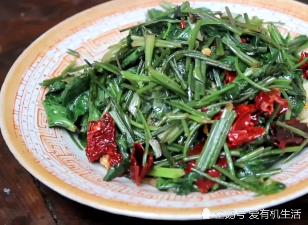 清明前后有一种野菜,形状像鸭掌,人称"鸭脚板",有芹菜