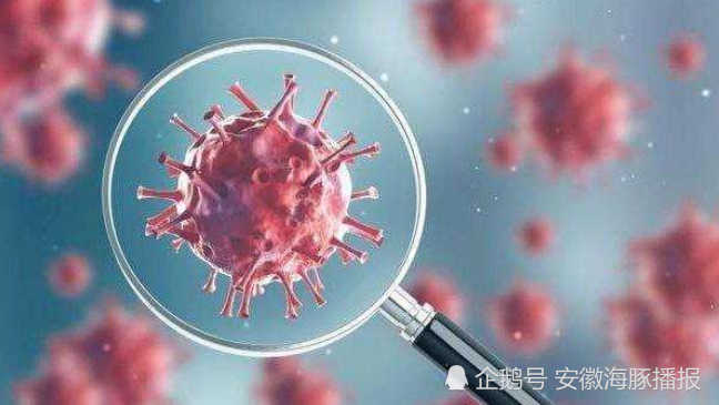 中国台湾媒体指出新冠病毒起源美国,从科学角度剖析,有理有据