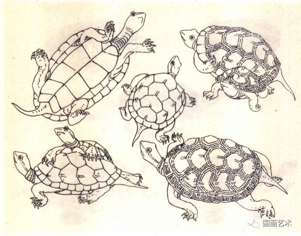 龟的写意画法