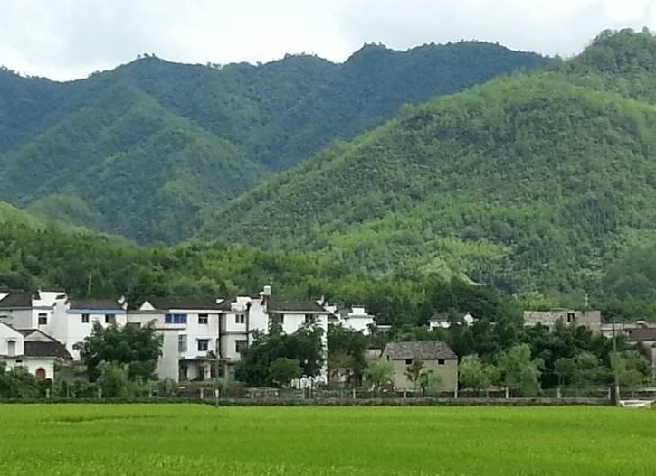 绩溪多少人口_绩溪龙川