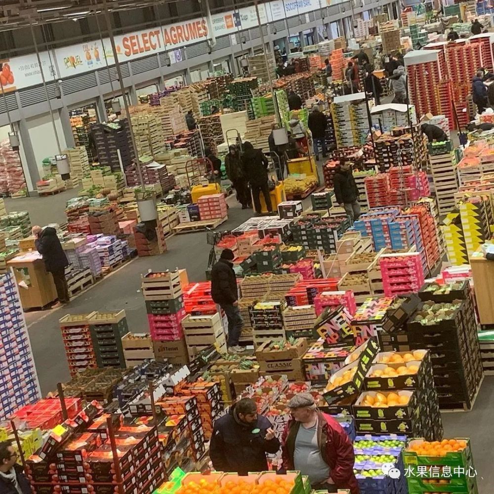 走进全球最大的农产品批发市场,好多果蔬都没见过