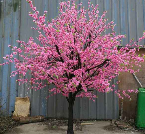 心理测试:三棵桃花树,你最喜欢哪一棵?测你与老公的缘分多深