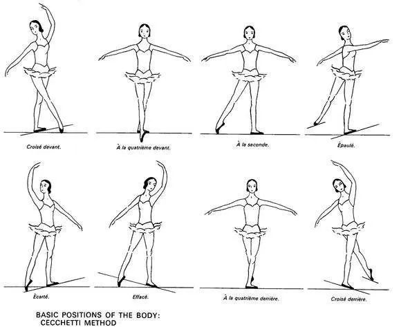 浪漫的法国人将芭蕾的每一个动作都确立了一个法文术语,这也成为世界