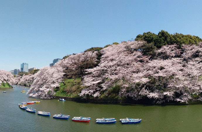 日本旅游攻略——东京旅游景点大全