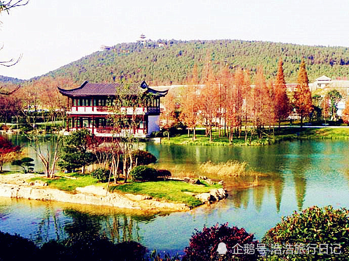 九里山人口_九里山实验学校(2)