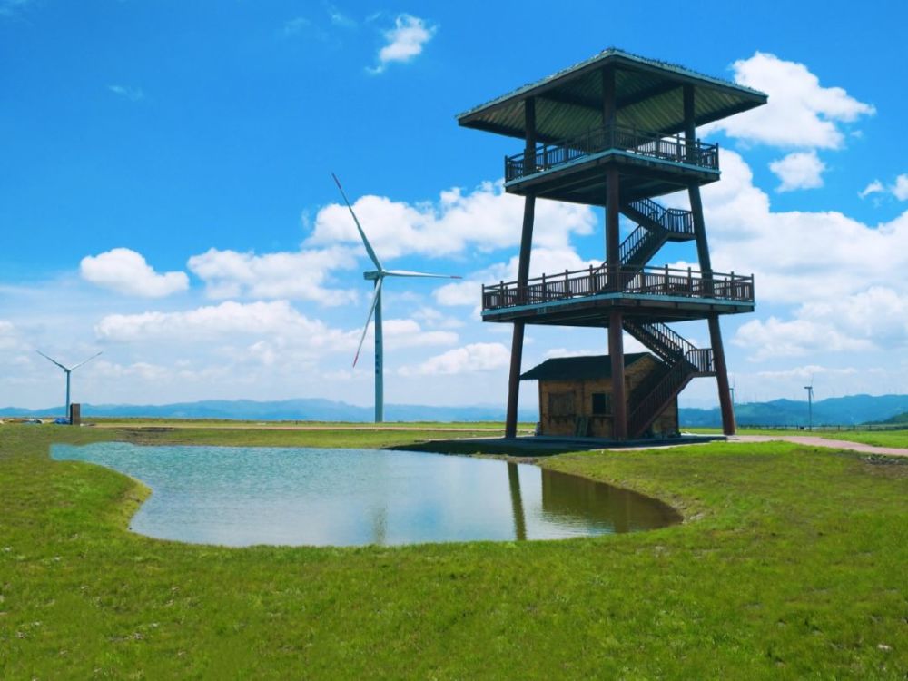 龙里油画大草原旅游区位于龙里县城南10公里,以湿地花海游览体验为主