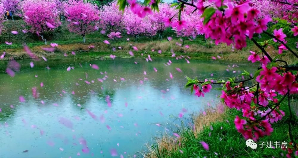 镜头里的常宁,如诗如画
