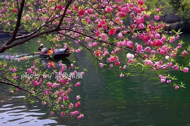 东湖是绍兴有名的一个风景区,符合了诗中江水的画面,春天开放的桃花