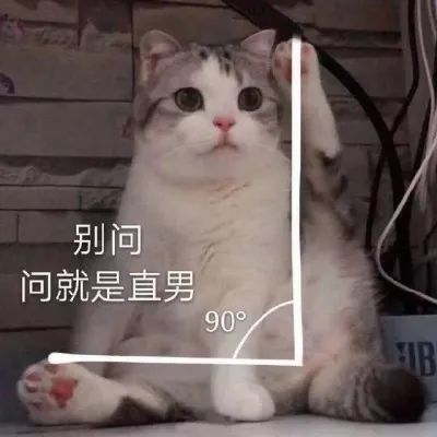 可爱的猫咪表情包