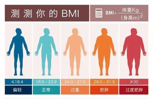 bmi=体重/身高的平方(kg/㎡).