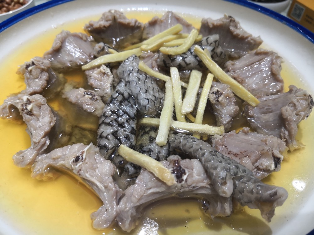 疫情下的"野生动物禁食令":鳄鱼鸵鸟梅花鹿这些养殖动物,还能吃吗?